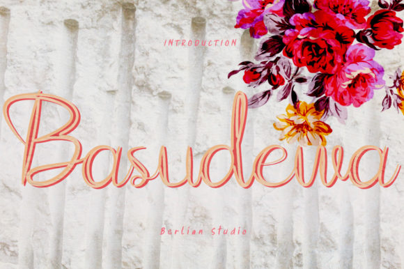 Basudewa: A Designer’s Honest Review for Real Projects