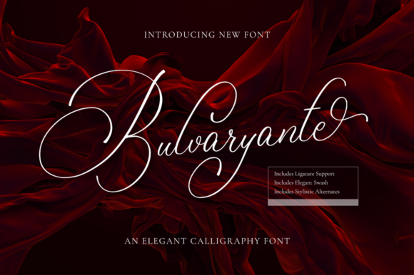 Bulvaryante: A Designer’s Honest Review