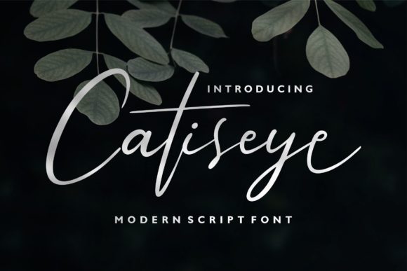 Catiseye Font: Elevate Your Brand Identity