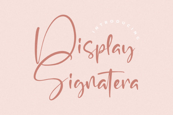 Display Signatera Font for Modern Web Design