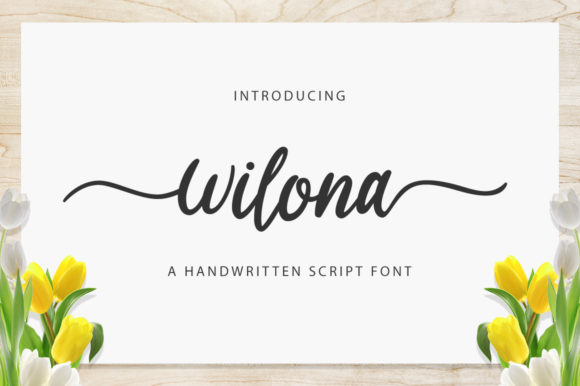Wilona: A Designer’s Honest Review for Branding